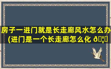房子一进门就是长走廊风水怎么办(进门是一个长走廊怎么化 🦁 解)